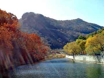 新澳天天开奖资料大全旅游团，历史小说